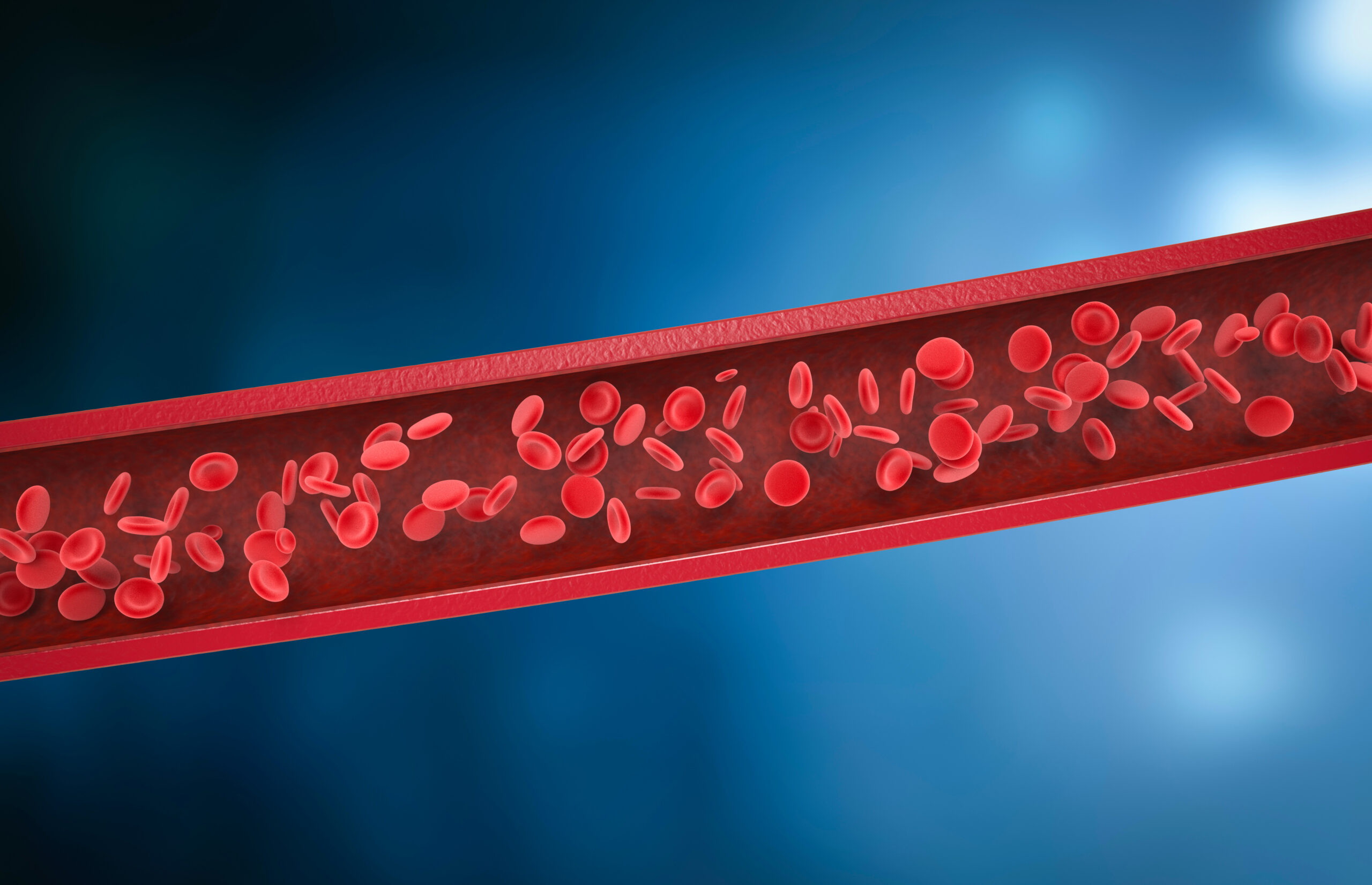 red blood cells in vein