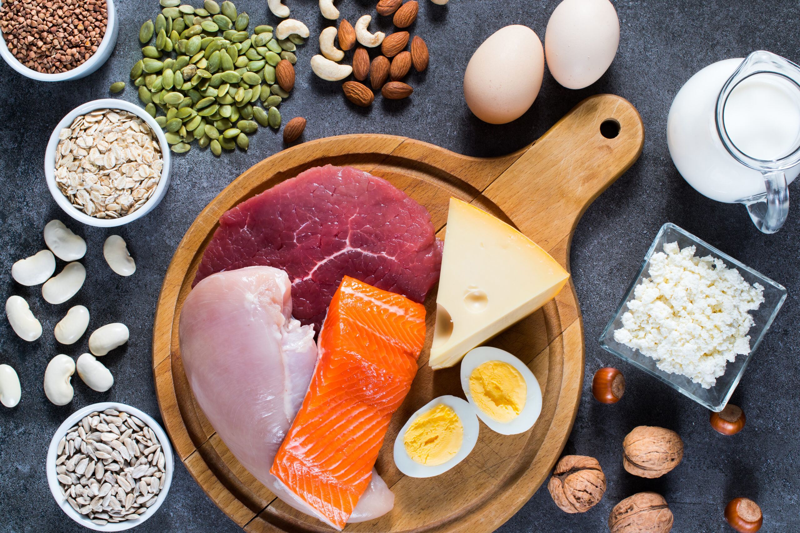 Composition with high protein food.