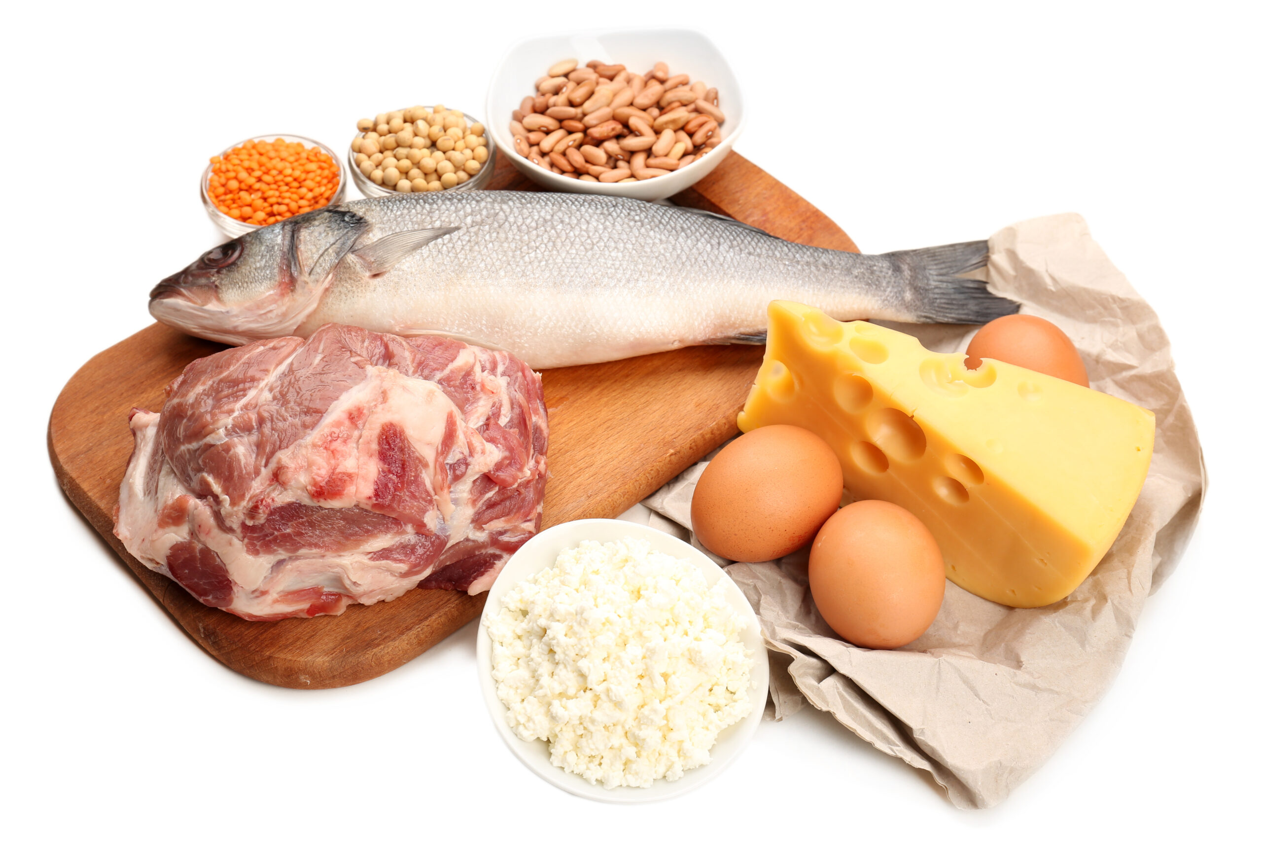 Food high in protein isolated on white