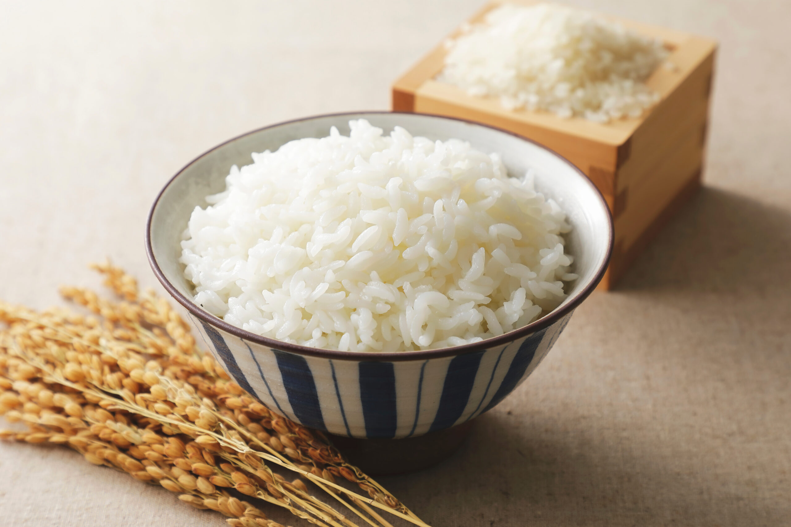 茶碗に盛った白米　Japanese white rice