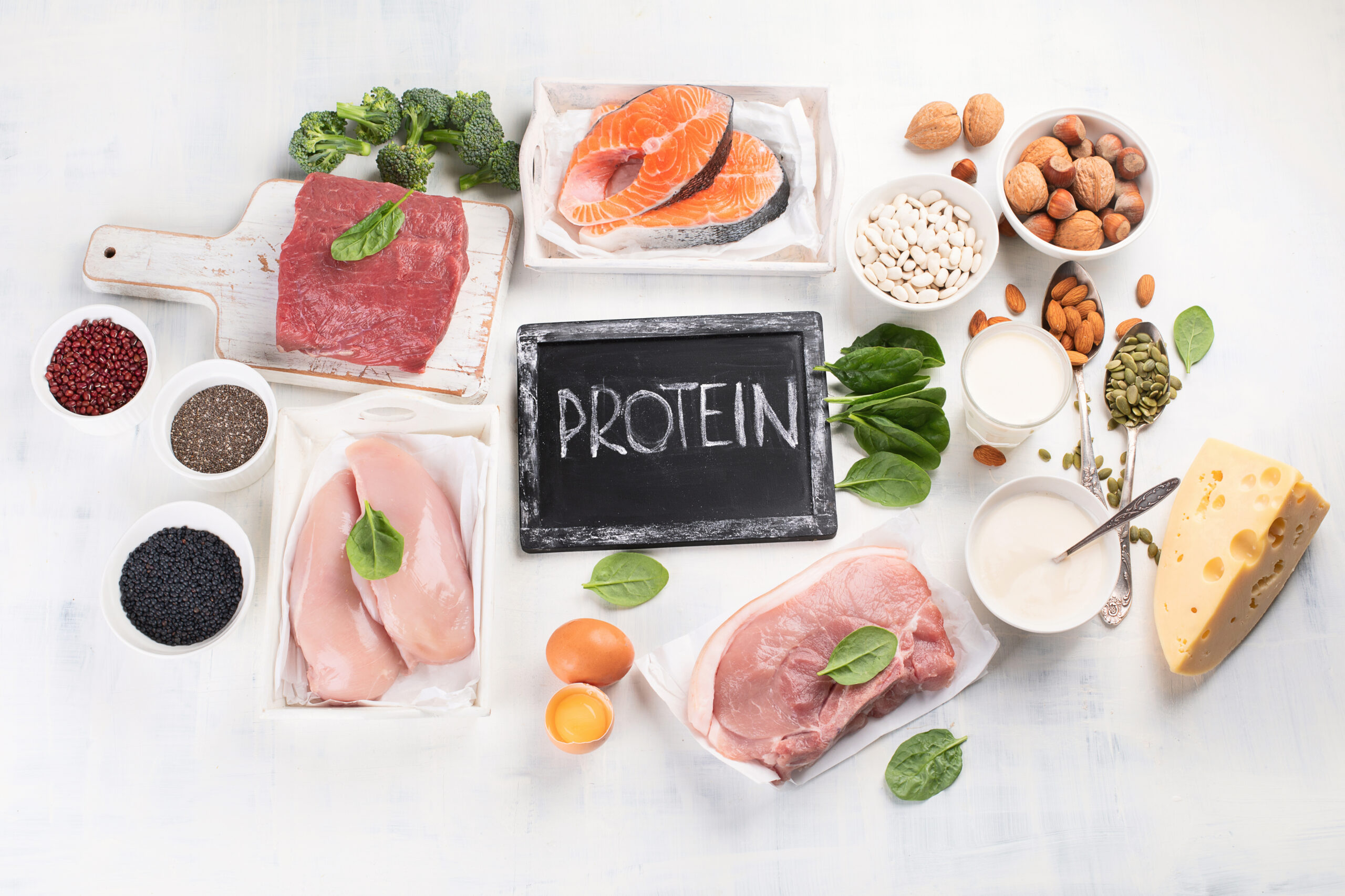 High protein foods